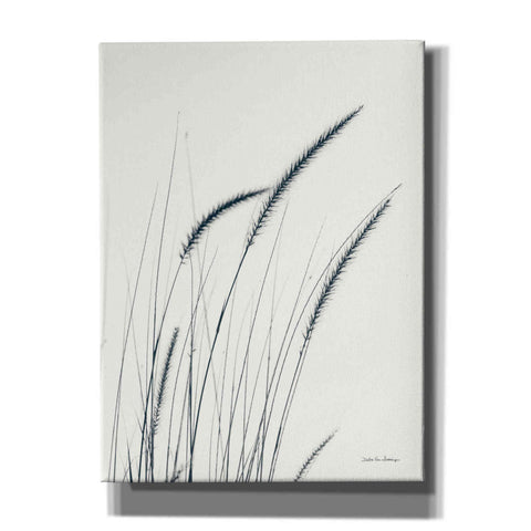 Image of 'Field Grasses III' by Debra Van Swearingen, Canvas Wall Art,12x16x1.1x0,18x26x1.1x0,26x34x1.74x0,40x54x1.74x0