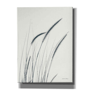 'Field Grasses III' by Debra Van Swearingen, Canvas Wall Art,12x16x1.1x0,18x26x1.1x0,26x34x1.74x0,40x54x1.74x0