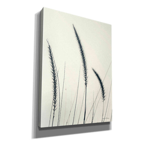 Image of 'Field Grasses IV' by Debra Van Swearingen, Canvas Wall Art,12x16x1.1x0,18x26x1.1x0,26x34x1.74x0,40x54x1.74x0