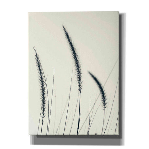 Image of 'Field Grasses IV' by Debra Van Swearingen, Canvas Wall Art,12x16x1.1x0,18x26x1.1x0,26x34x1.74x0,40x54x1.74x0