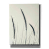 'Field Grasses IV' by Debra Van Swearingen, Canvas Wall Art,12x16x1.1x0,18x26x1.1x0,26x34x1.74x0,40x54x1.74x0