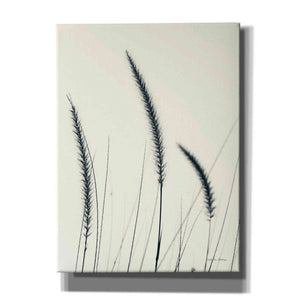 'Field Grasses IV' by Debra Van Swearingen, Canvas Wall Art,12x16x1.1x0,18x26x1.1x0,26x34x1.74x0,40x54x1.74x0