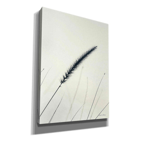 Image of 'Field Grasses V' by Debra Van Swearingen, Canvas Wall Art,12x16x1.1x0,18x26x1.1x0,26x34x1.74x0,40x54x1.74x0