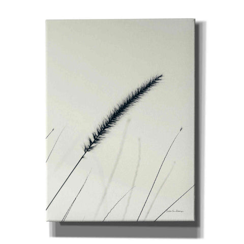 Image of 'Field Grasses V' by Debra Van Swearingen, Canvas Wall Art,12x16x1.1x0,18x26x1.1x0,26x34x1.74x0,40x54x1.74x0