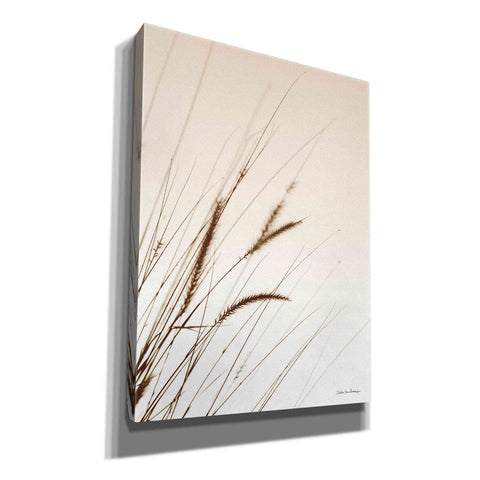 Image of 'Field Grasses I Sepia' by Debra Van Swearingen, Canvas Wall Art,12x16x1.1x0,18x26x1.1x0,26x34x1.74x0,40x54x1.74x0