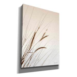 'Field Grasses I Sepia' by Debra Van Swearingen, Canvas Wall Art,12x16x1.1x0,18x26x1.1x0,26x34x1.74x0,40x54x1.74x0