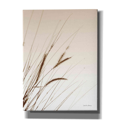 Image of 'Field Grasses I Sepia' by Debra Van Swearingen, Canvas Wall Art,12x16x1.1x0,18x26x1.1x0,26x34x1.74x0,40x54x1.74x0