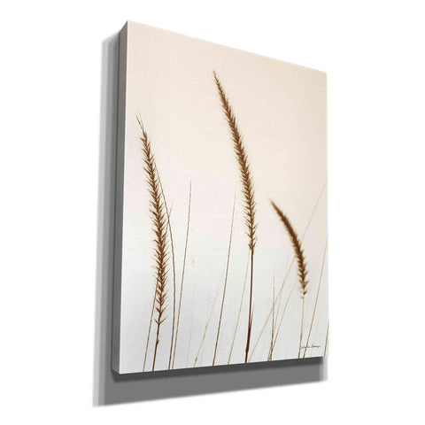 Image of 'Field Grasses IV Sepia' by Debra Van Swearingen, Canvas Wall Art,12x16x1.1x0,18x26x1.1x0,26x34x1.74x0,40x54x1.74x0