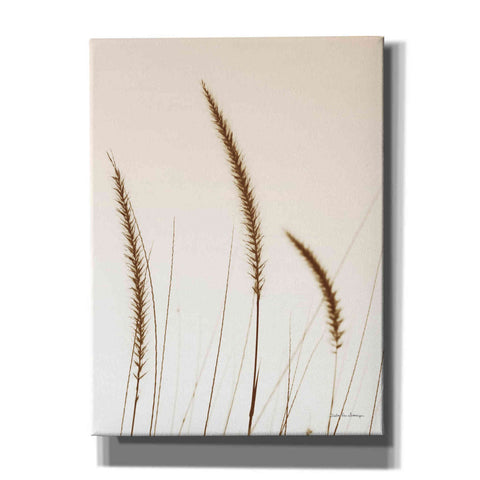 Image of 'Field Grasses IV Sepia' by Debra Van Swearingen, Canvas Wall Art,12x16x1.1x0,18x26x1.1x0,26x34x1.74x0,40x54x1.74x0