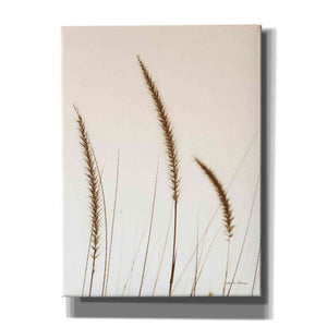 'Field Grasses IV Sepia' by Debra Van Swearingen, Canvas Wall Art,12x16x1.1x0,18x26x1.1x0,26x34x1.74x0,40x54x1.74x0