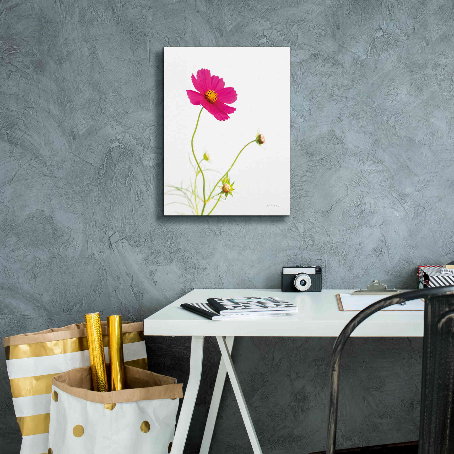 'Magenta Cosmos I' by Debra Van Swearingen, Canvas Wall Art,12 x 16