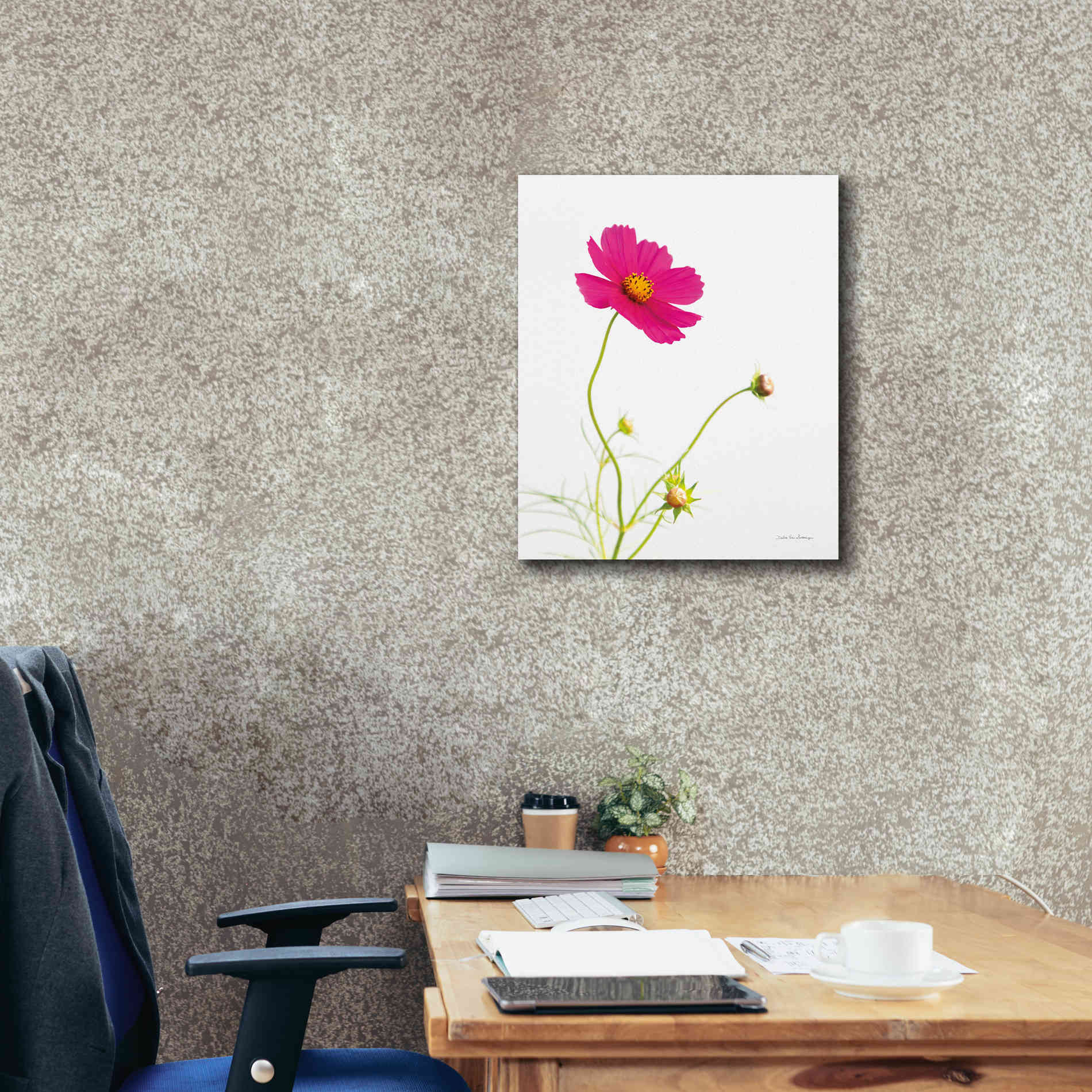 'Magenta Cosmos I' by Debra Van Swearingen, Canvas Wall Art,20 x 24