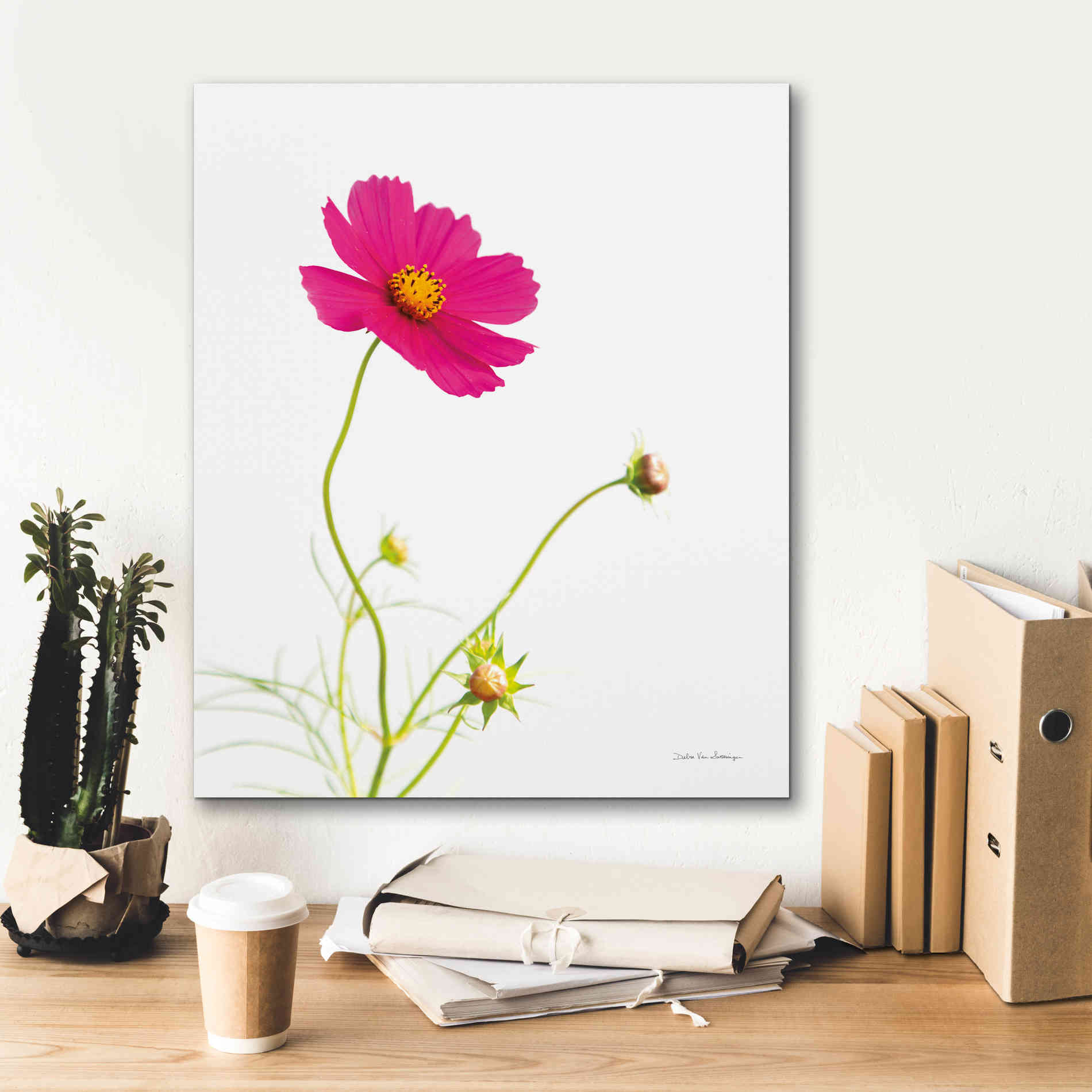 'Magenta Cosmos I' by Debra Van Swearingen, Canvas Wall Art,20 x 24