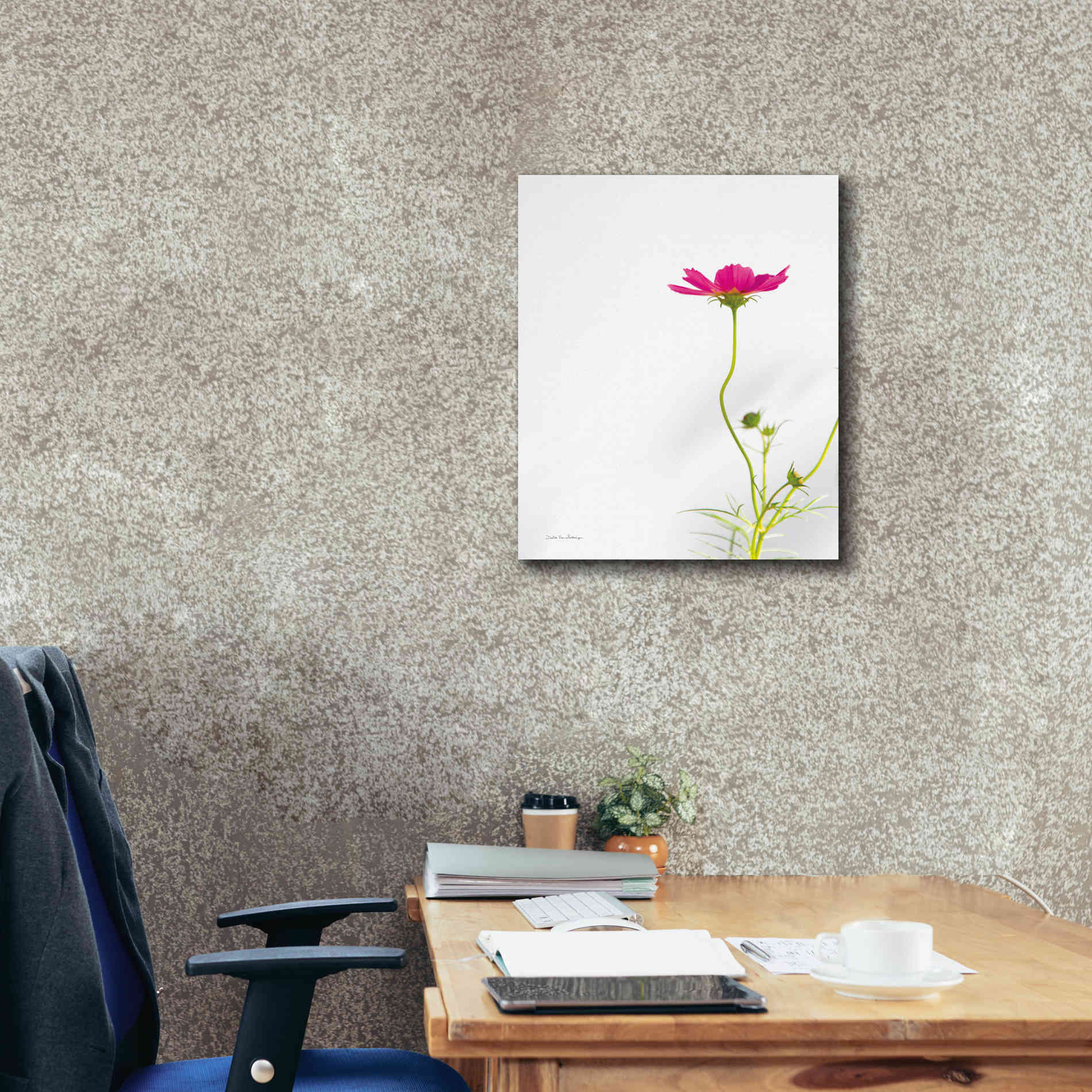 'Magenta Cosmos II' by Debra Van Swearingen, Canvas Wall Art,20 x 24