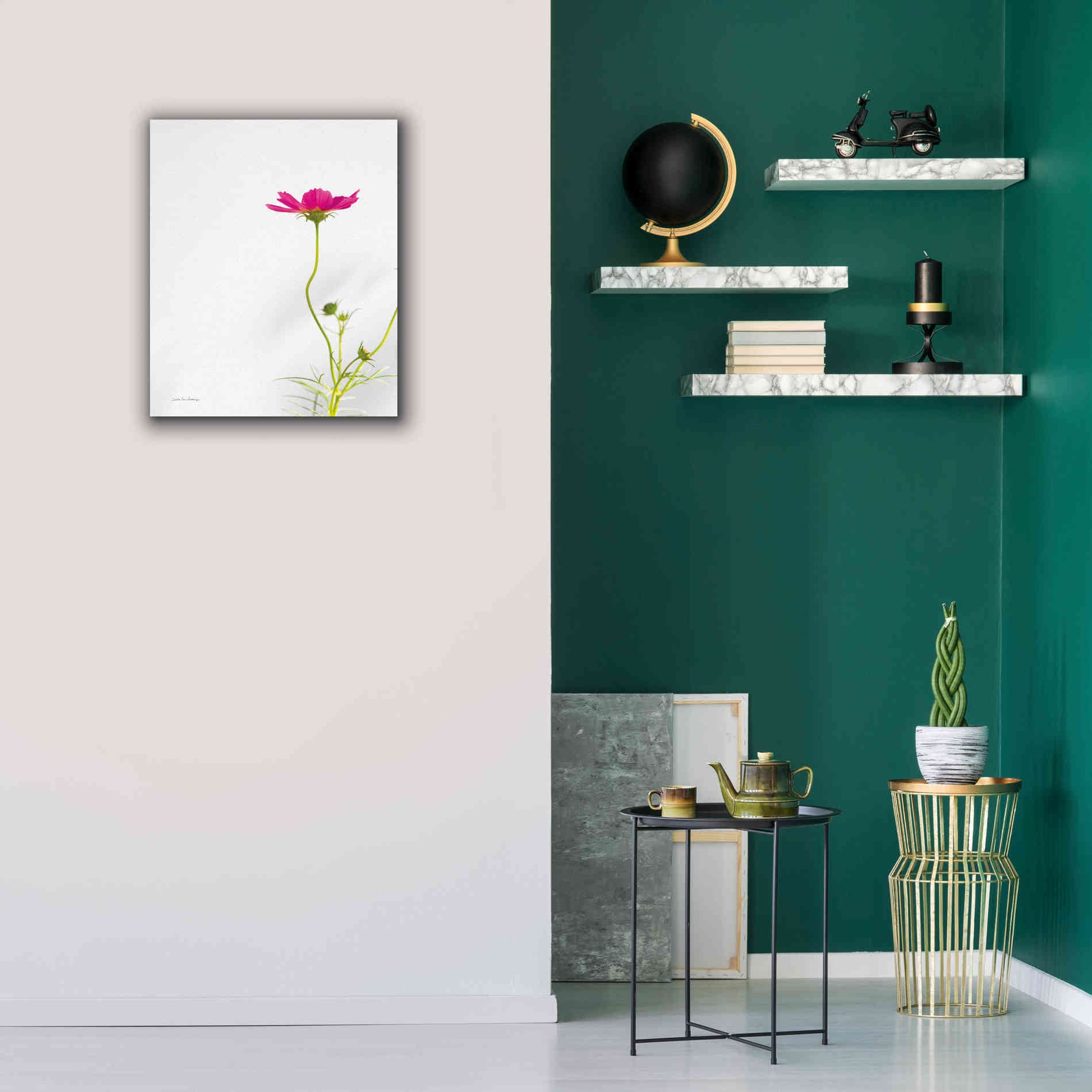 'Magenta Cosmos II' by Debra Van Swearingen, Canvas Wall Art,20 x 24