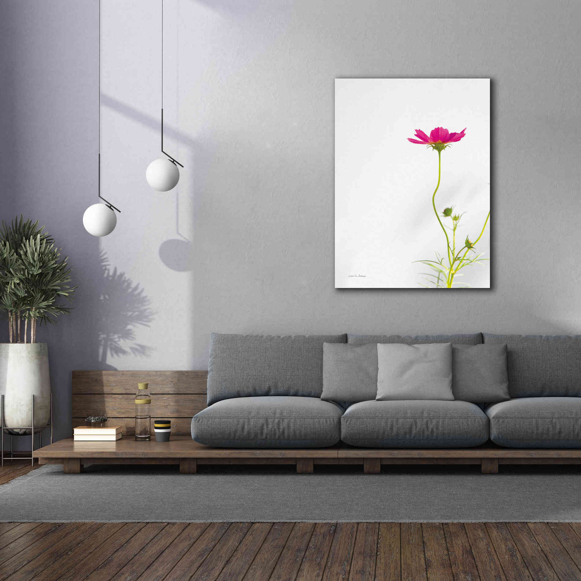 'Magenta Cosmos II' by Debra Van Swearingen, Canvas Wall Art,40 x 54