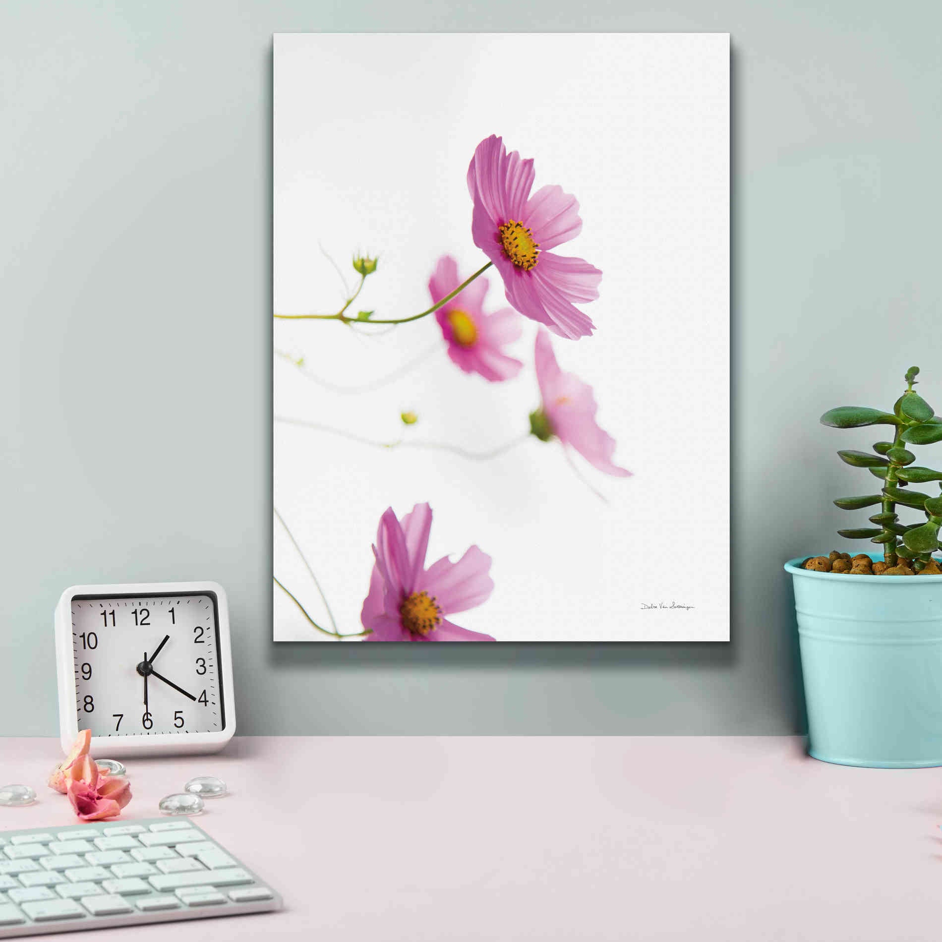 'Pale Cosmos I' by Debra Van Swearingen, Canvas Wall Art,12 x 16