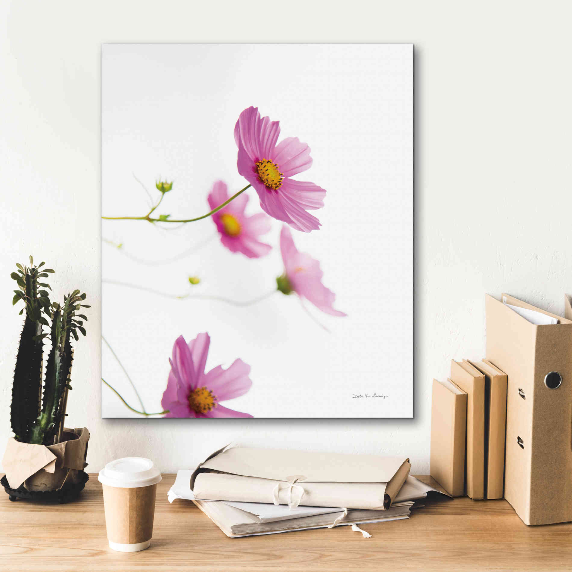 'Pale Cosmos I' by Debra Van Swearingen, Canvas Wall Art,20 x 24