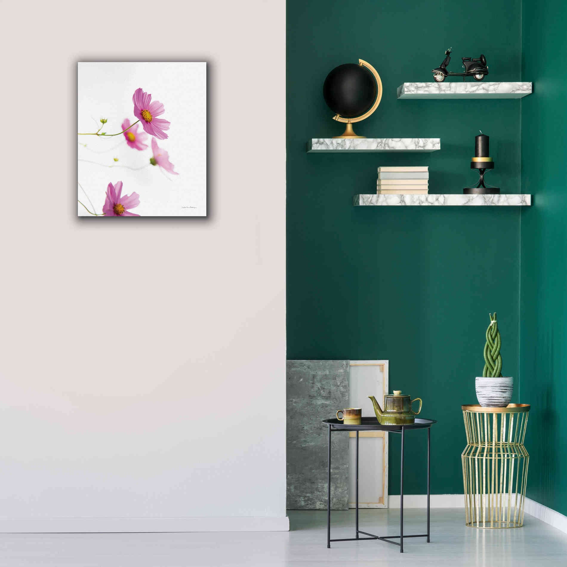 'Pale Cosmos I' by Debra Van Swearingen, Canvas Wall Art,20 x 24