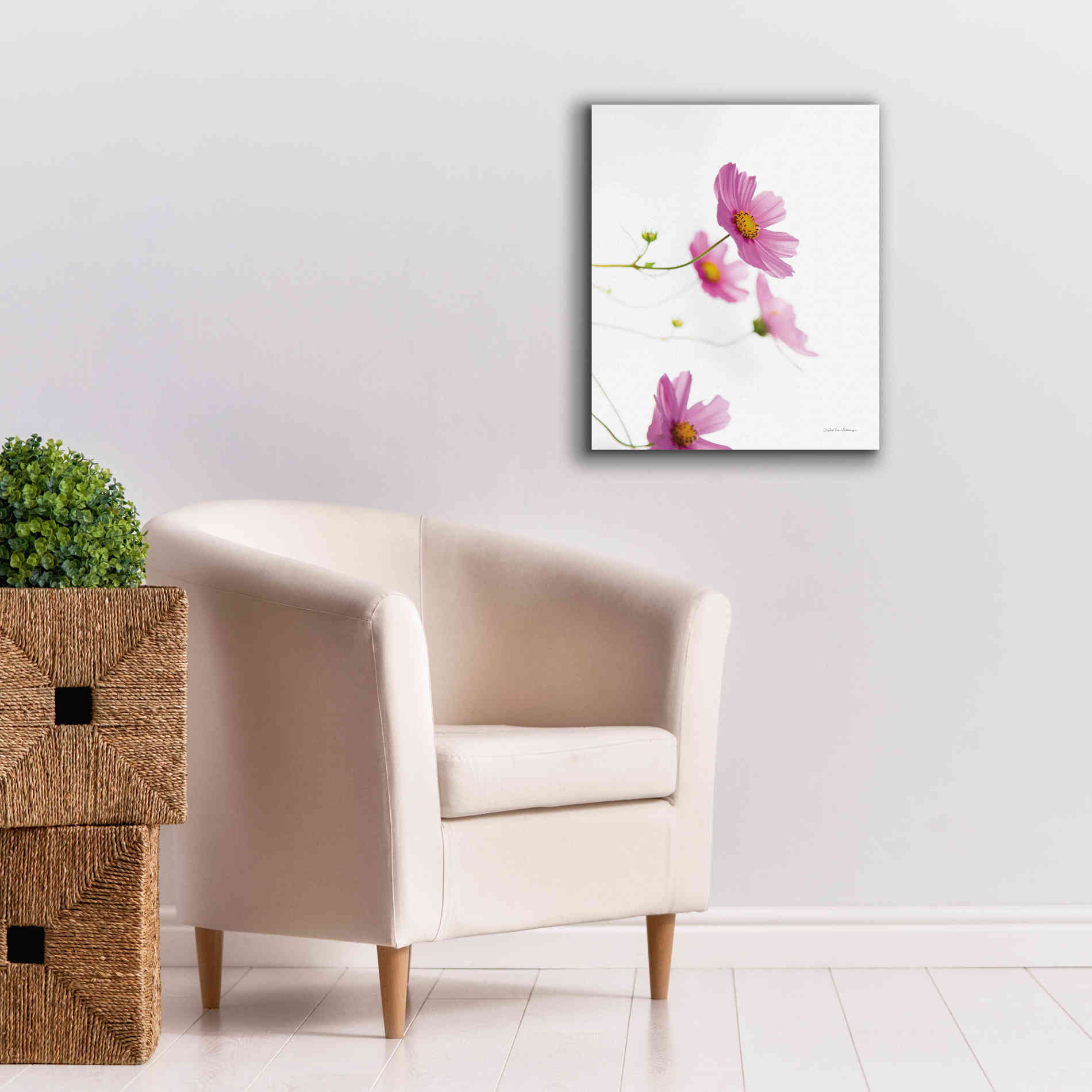 'Pale Cosmos I' by Debra Van Swearingen, Canvas Wall Art,20 x 24