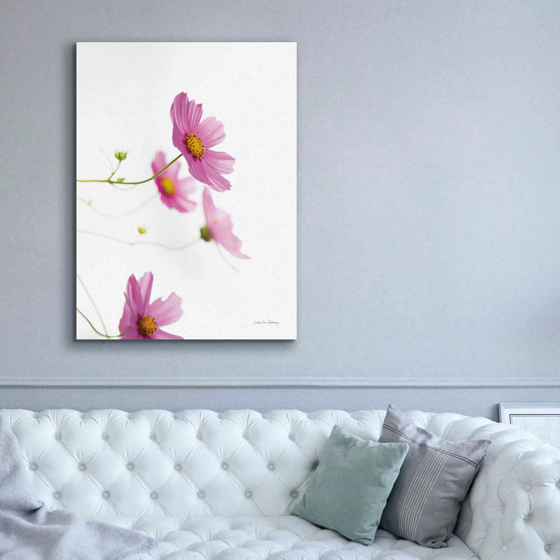 'Pale Cosmos I' by Debra Van Swearingen, Canvas Wall Art,40 x 54