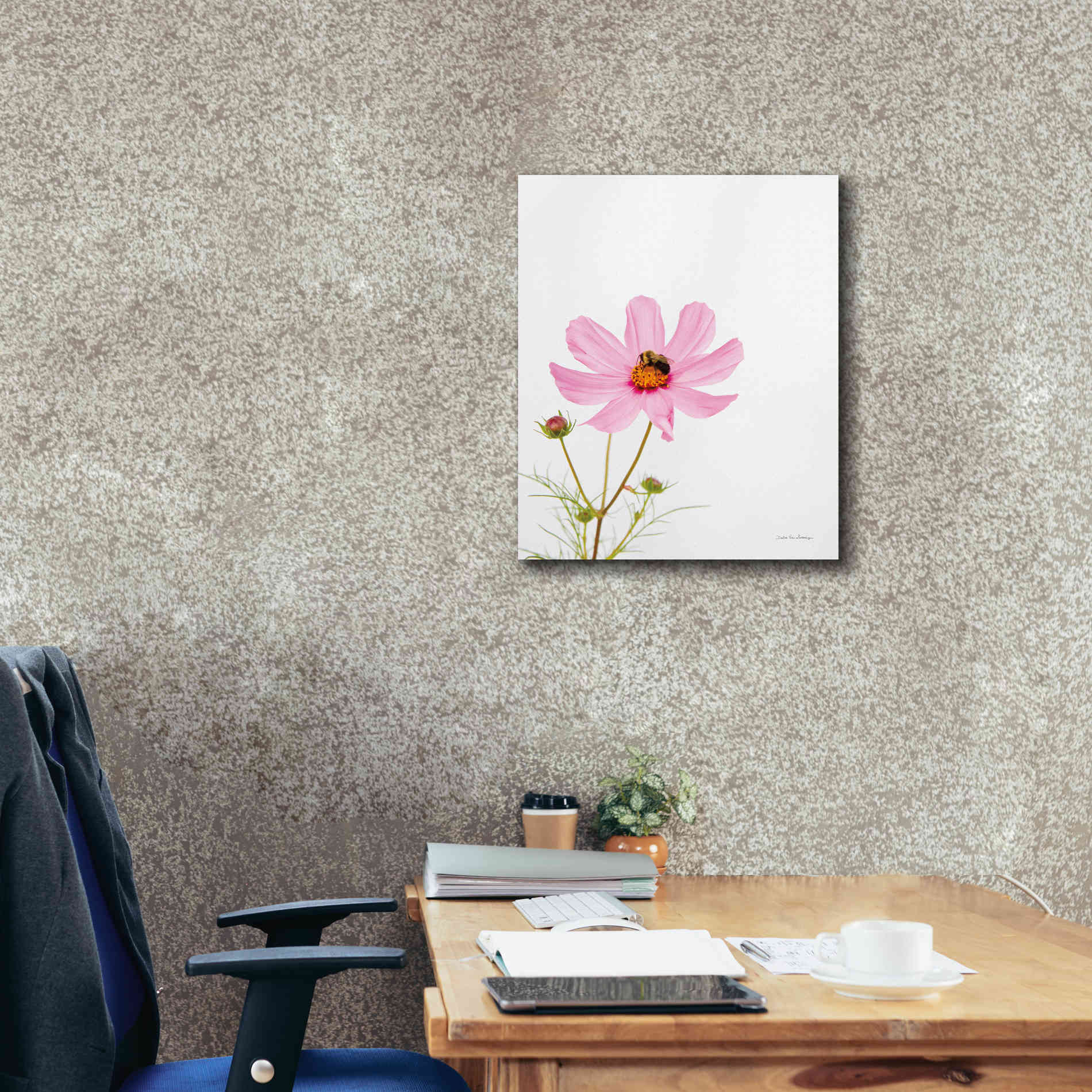 'Pale Cosmos II' by Debra Van Swearingen, Canvas Wall Art,20 x 24