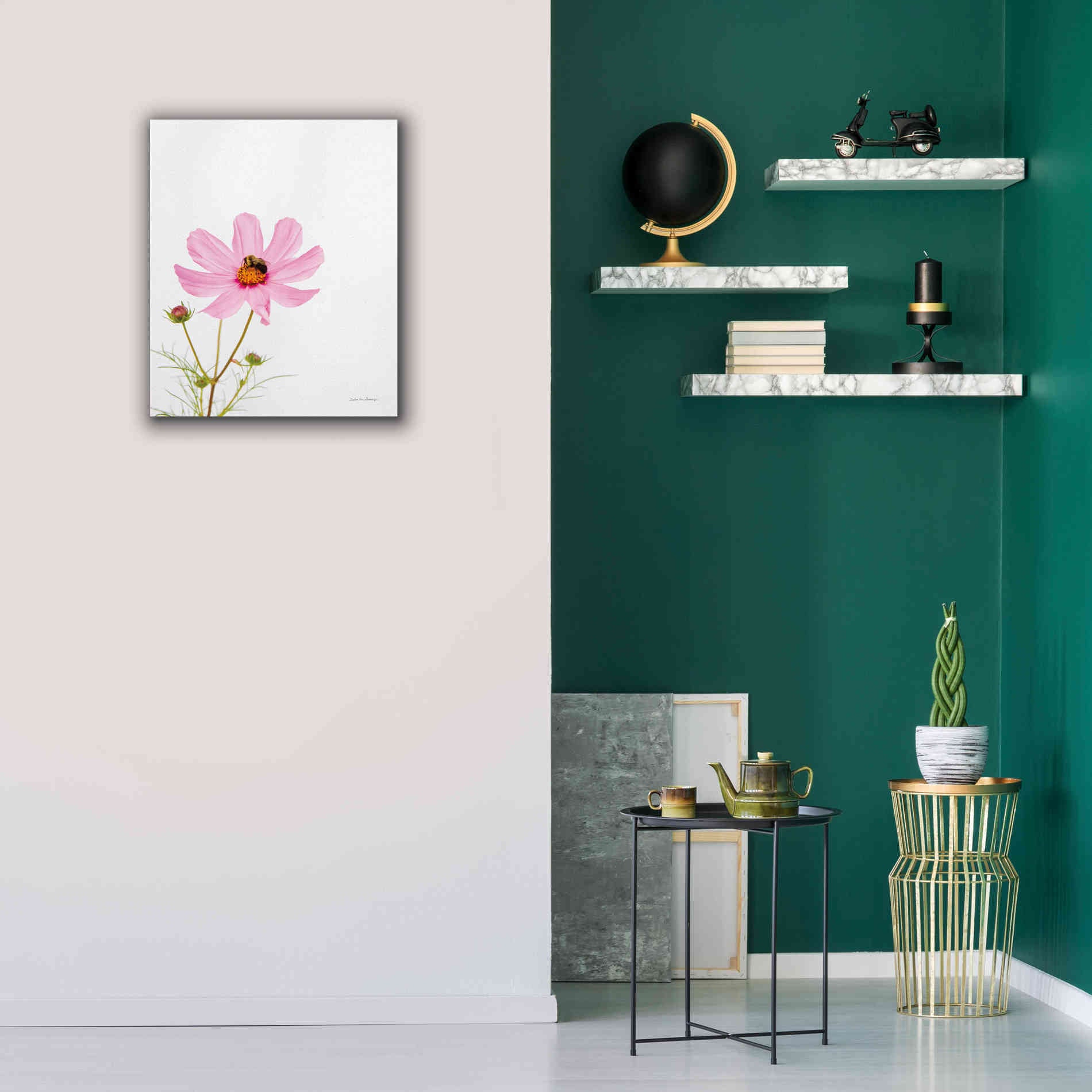 'Pale Cosmos II' by Debra Van Swearingen, Canvas Wall Art,20 x 24