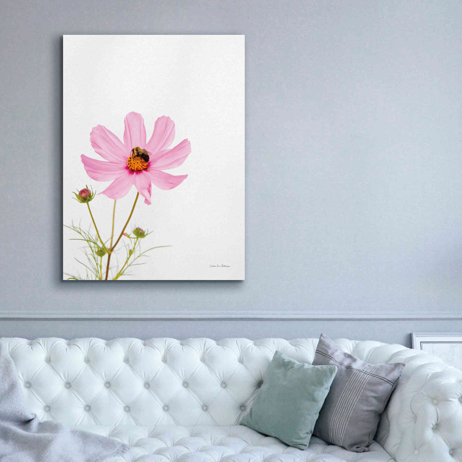 'Pale Cosmos II' by Debra Van Swearingen, Canvas Wall Art,40 x 54