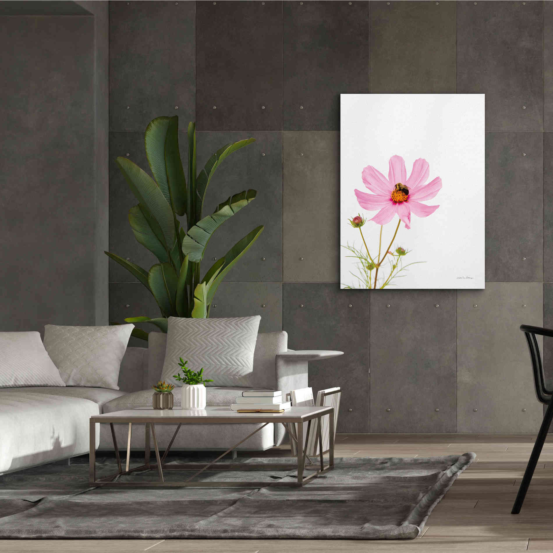 'Pale Cosmos II' by Debra Van Swearingen, Canvas Wall Art,40 x 54