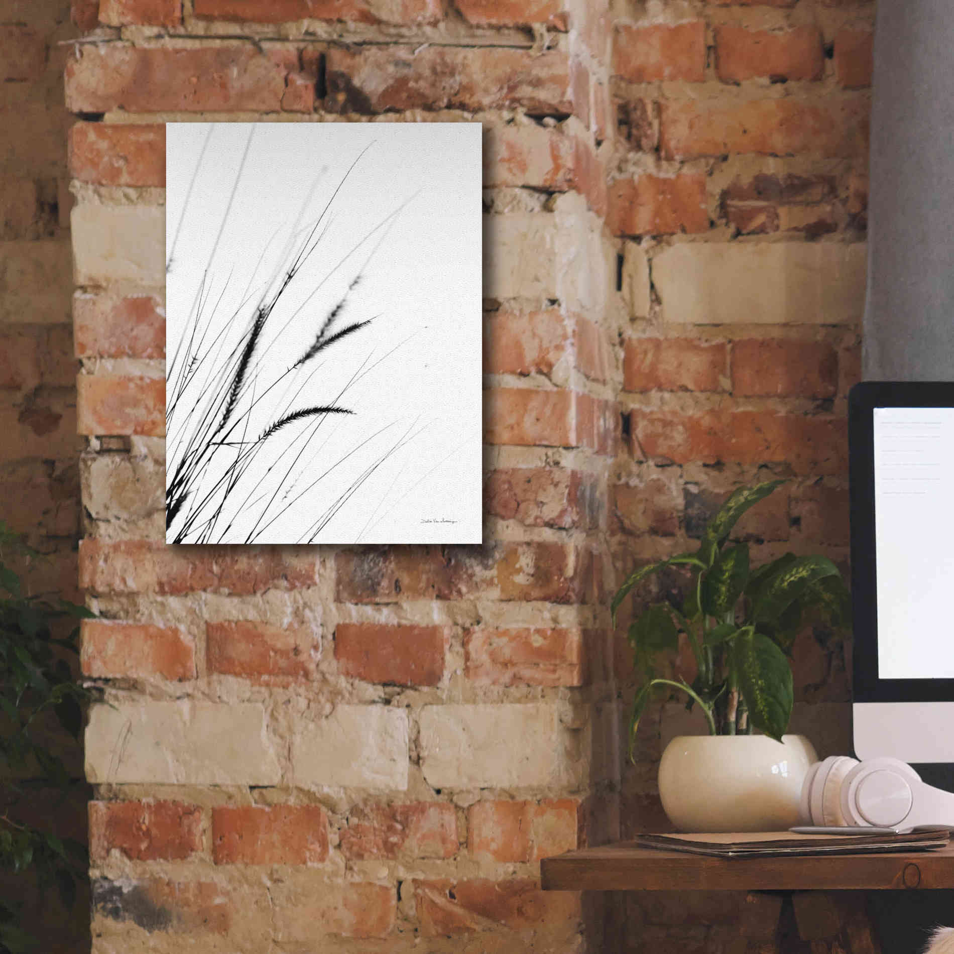 'Field Grasses I White' by Debra Van Swearingen, Canvas Wall Art,12 x 16