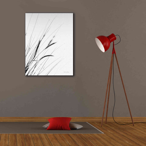 Image of 'Field Grasses I White' by Debra Van Swearingen, Canvas Wall Art,26 x 34