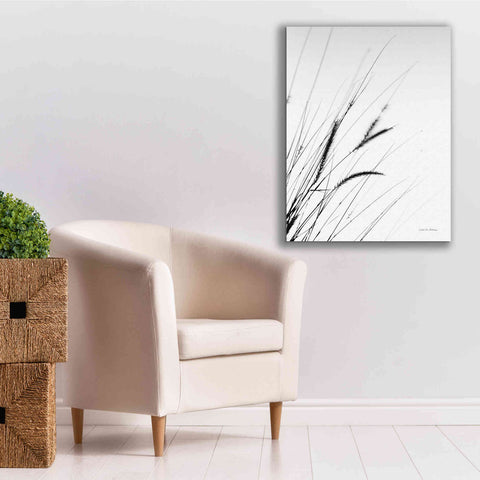 Image of 'Field Grasses I White' by Debra Van Swearingen, Canvas Wall Art,26 x 34