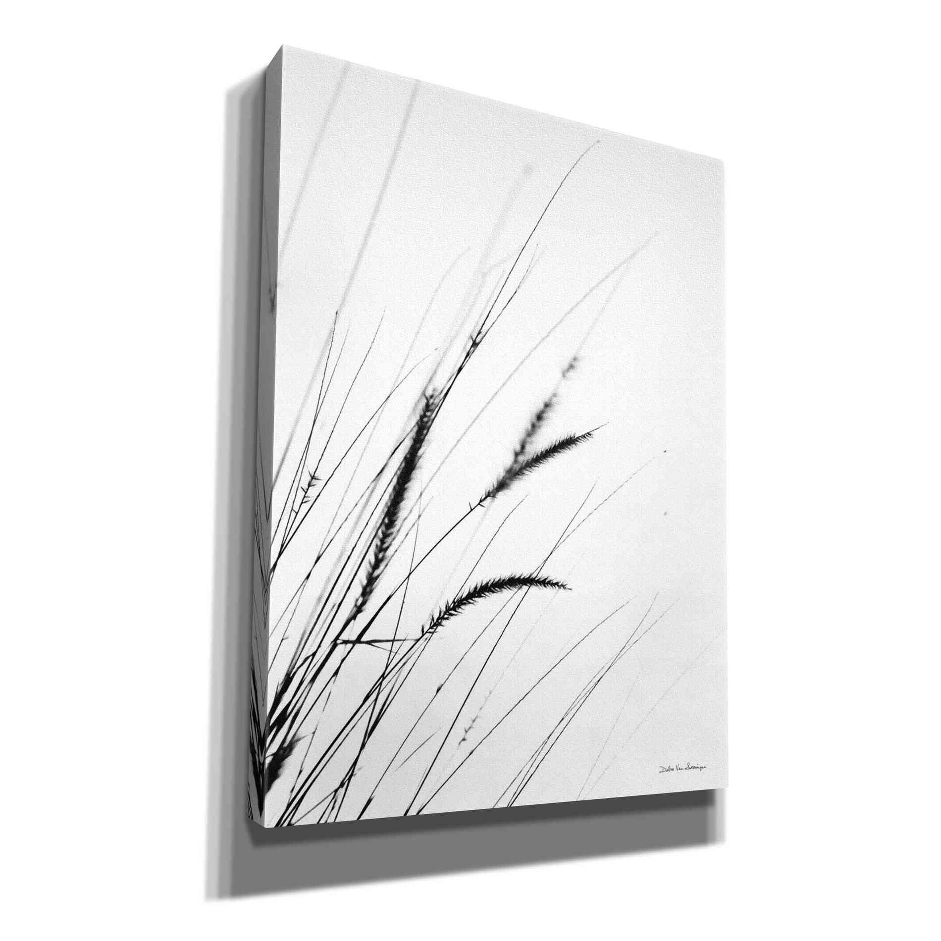 'Field Grasses I White' by Debra Van Swearingen, Canvas Wall Art,12x16x1.1x0,18x26x1.1x0,26x34x1.74x0,40x54x1.74x0