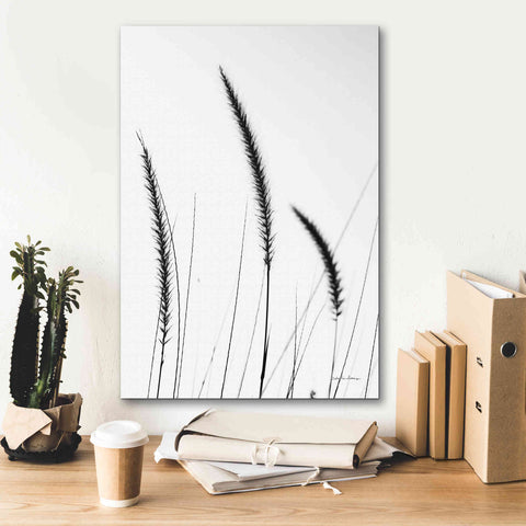Image of 'Field Grasses IV White' by Debra Van Swearingen, Canvas Wall Art,18 x 26