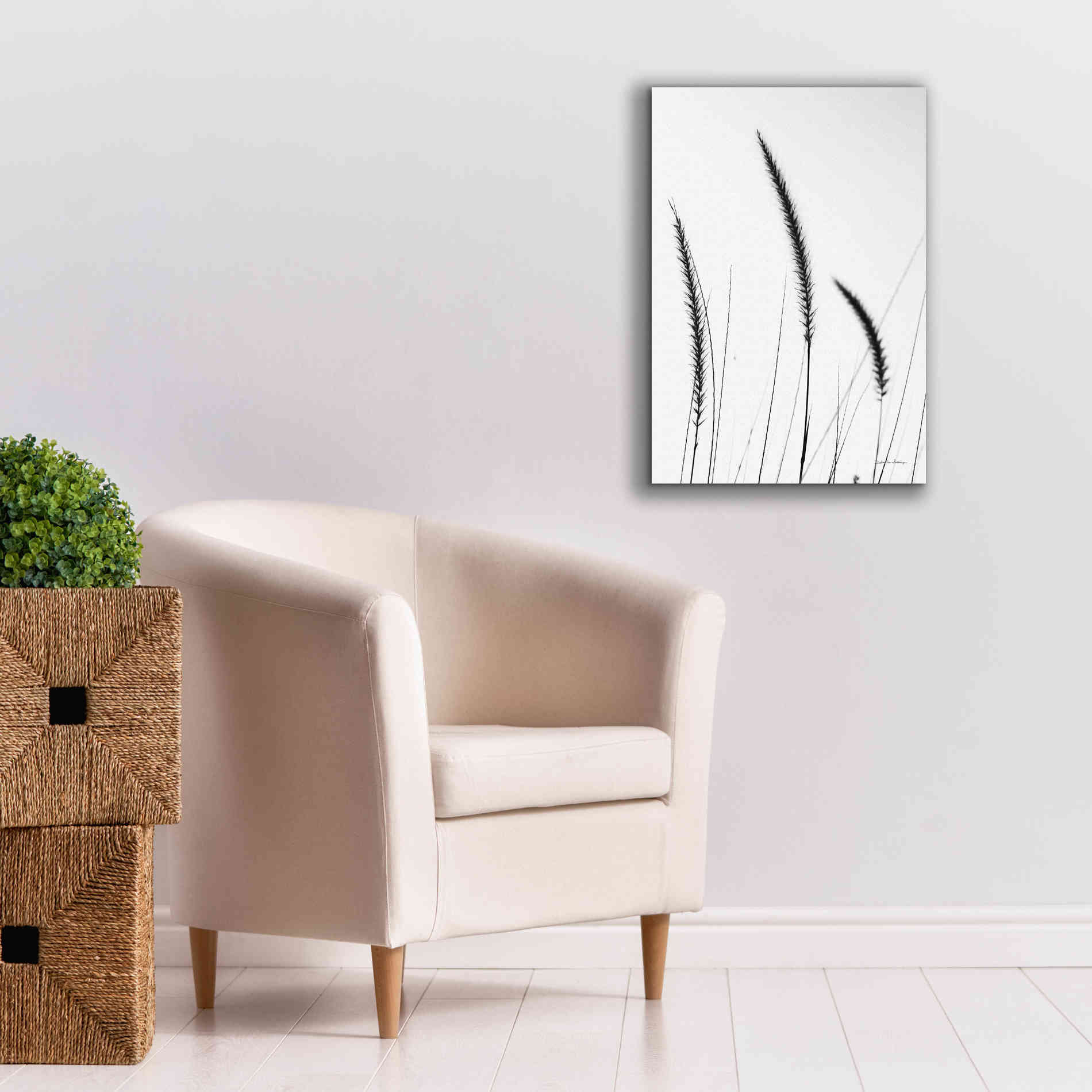 'Field Grasses IV White' by Debra Van Swearingen, Canvas Wall Art,18 x 26