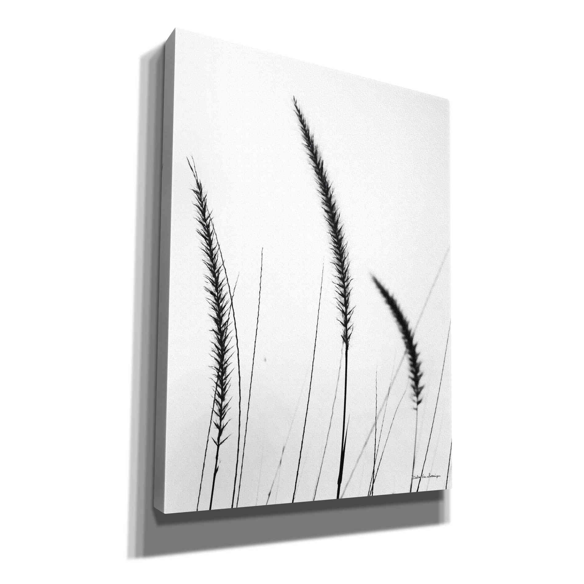 'Field Grasses IV White' by Debra Van Swearingen, Canvas Wall Art,12x16x1.1x0,18x26x1.1x0,26x34x1.74x0,40x54x1.74x0