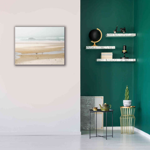 Image of 'Cold Beach I' by Debra Van Swearingen, Canvas Wall Art,34 x 26
