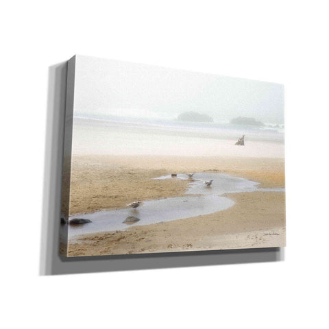 Image of 'Cold Beach II' by Debra Van Swearingen, Canvas Wall Art,16x12x1.1x0,26x18x1.1x0,34x26x1.74x0,54x40x1.74x0