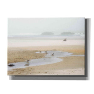 'Cold Beach II' by Debra Van Swearingen, Canvas Wall Art,16x12x1.1x0,26x18x1.1x0,34x26x1.74x0,54x40x1.74x0