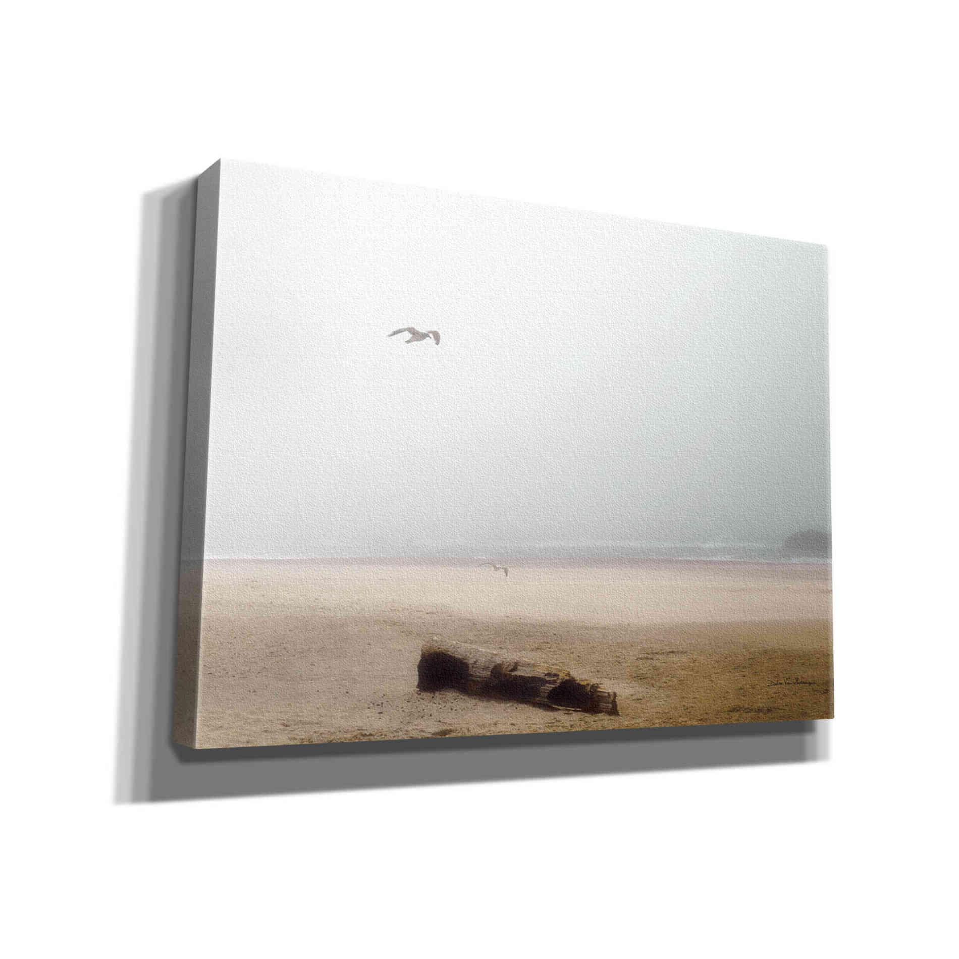 'Cold Beach III' by Debra Van Swearingen, Canvas Wall Art,16x12x1.1x0,26x18x1.1x0,34x26x1.74x0,54x40x1.74x0