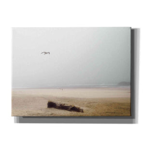 'Cold Beach III' by Debra Van Swearingen, Canvas Wall Art,16x12x1.1x0,26x18x1.1x0,34x26x1.74x0,54x40x1.74x0