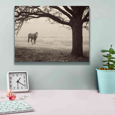 Image of 'Hazy Horse I' by Debra Van Swearingen, Canvas Wall Art,16 x 12