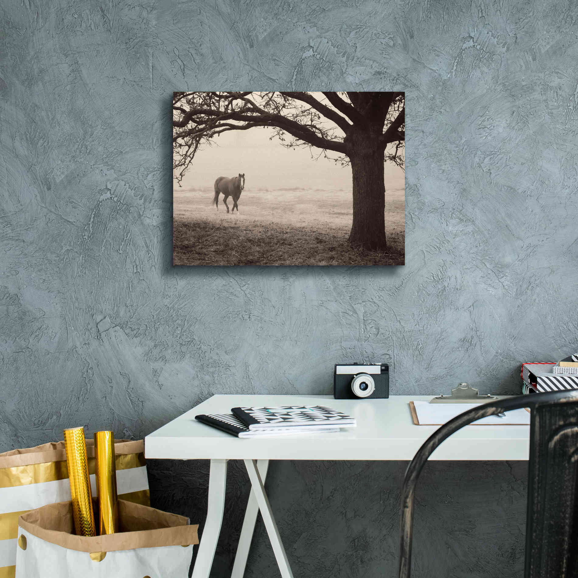 'Hazy Horse I' by Debra Van Swearingen, Canvas Wall Art,16 x 12