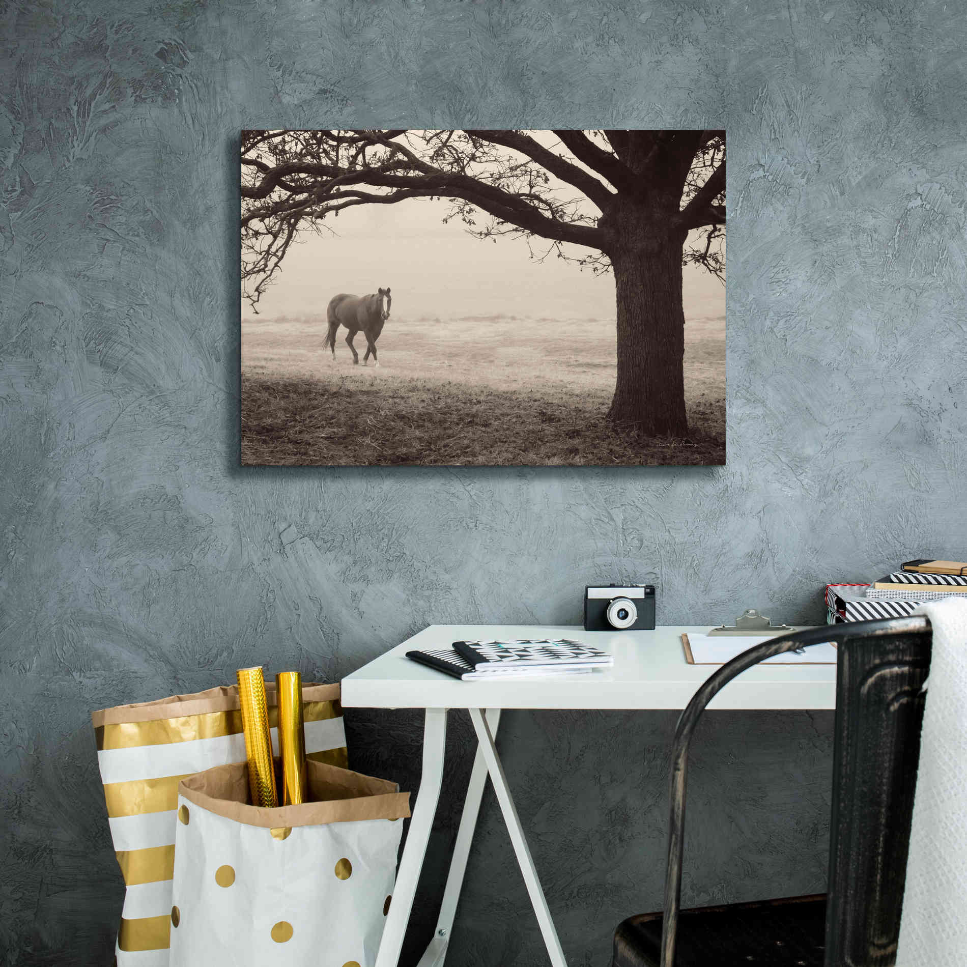 'Hazy Horse I' by Debra Van Swearingen, Canvas Wall Art,26 x 18
