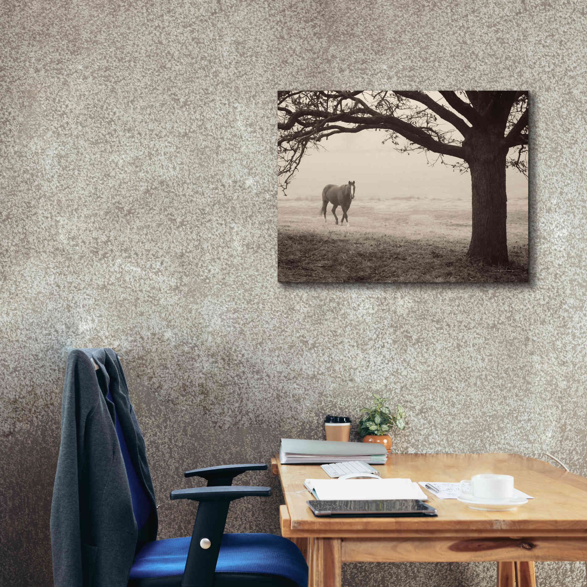 'Hazy Horse I' by Debra Van Swearingen, Canvas Wall Art,34 x 26