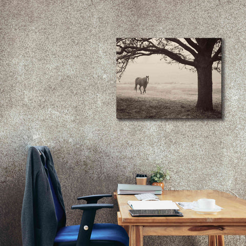 Image of 'Hazy Horse I' by Debra Van Swearingen, Canvas Wall Art,34 x 26