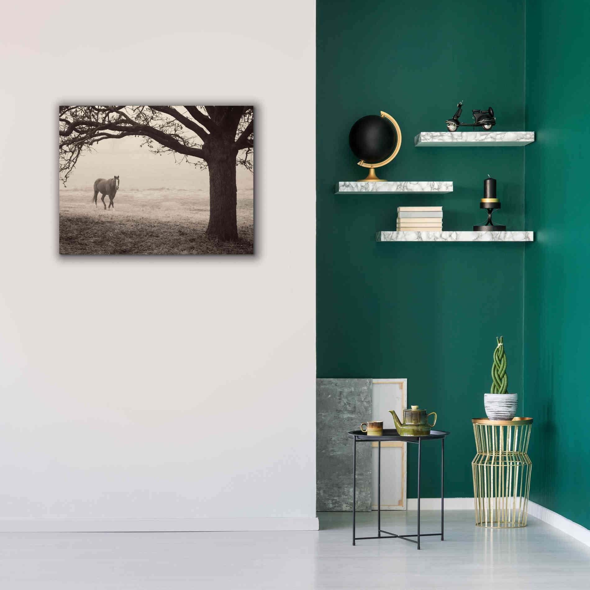 'Hazy Horse I' by Debra Van Swearingen, Canvas Wall Art,34 x 26