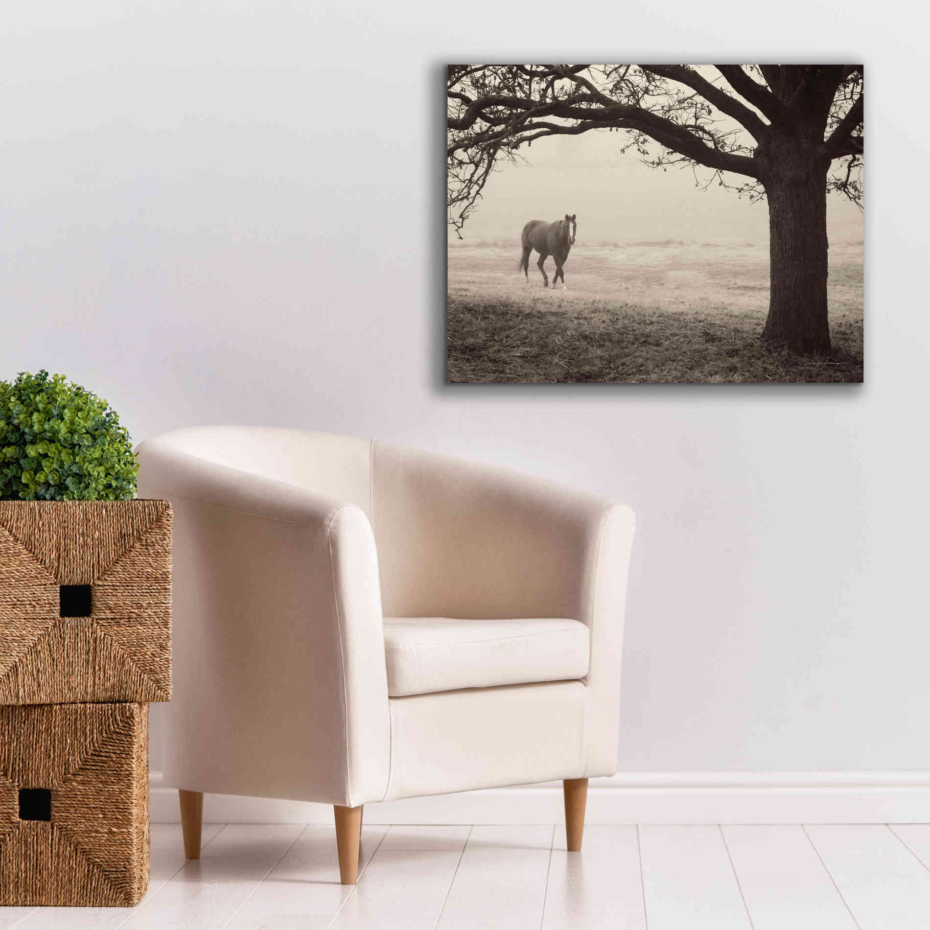 'Hazy Horse I' by Debra Van Swearingen, Canvas Wall Art,34 x 26