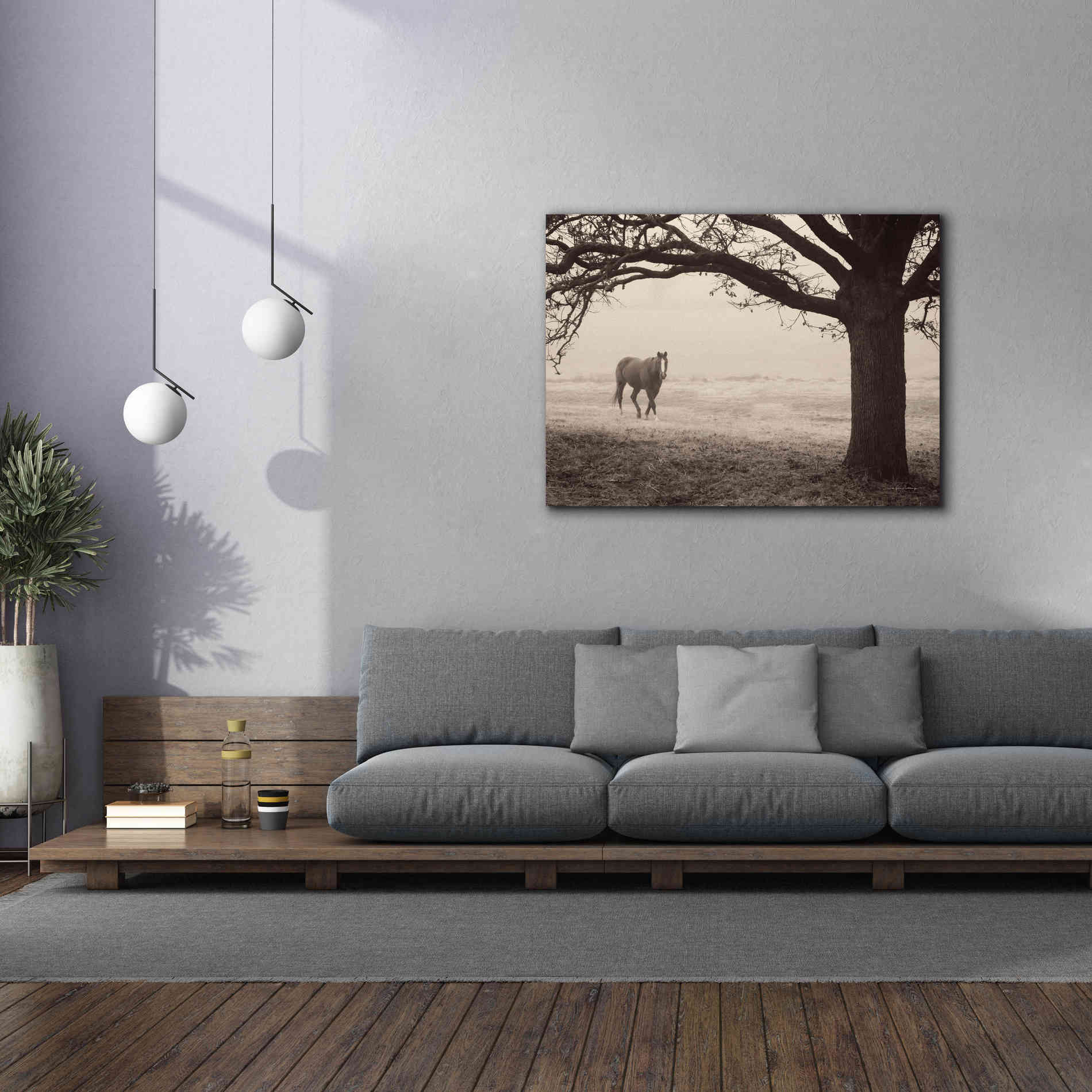 'Hazy Horse I' by Debra Van Swearingen, Canvas Wall Art,54 x 40