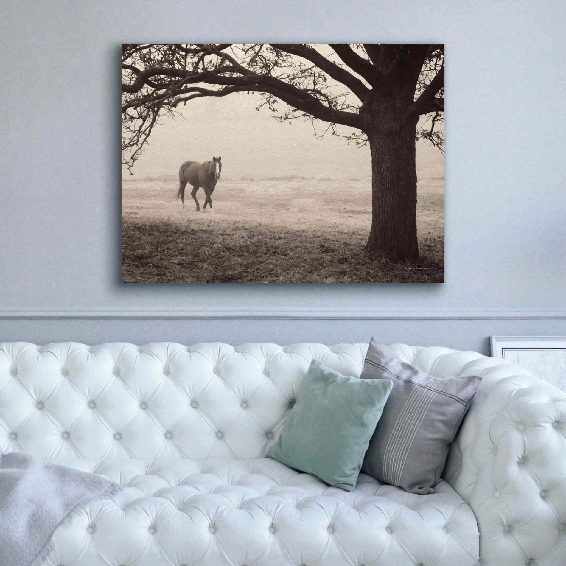 'Hazy Horse I' by Debra Van Swearingen, Canvas Wall Art,54 x 40